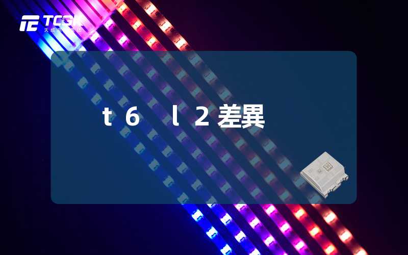 t6 l2差異